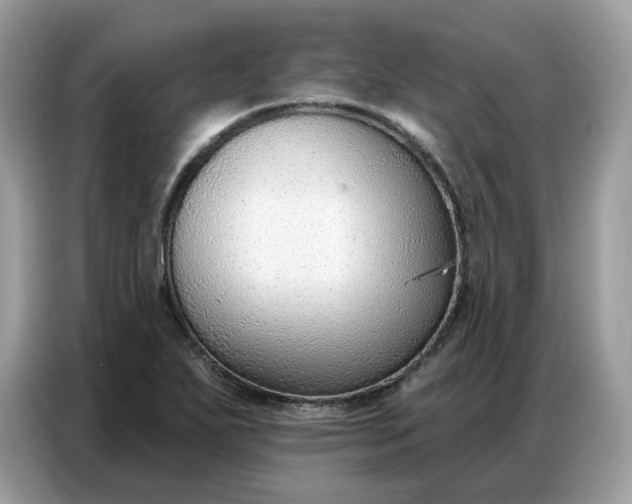 X0000086801271200704271843