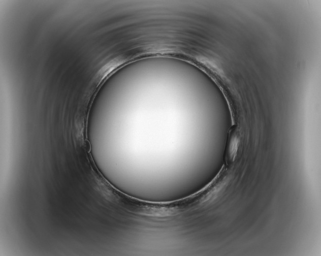 X0000086801273200704271843