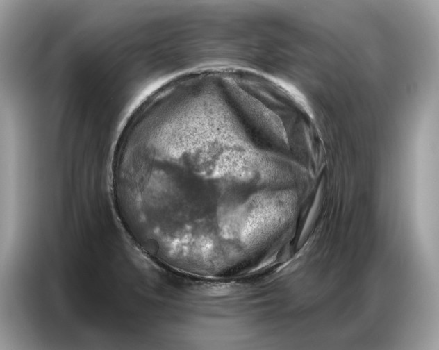 X0000086801279200704271843