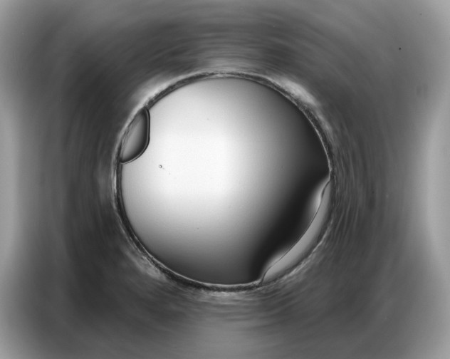 X0000086801280200704271843