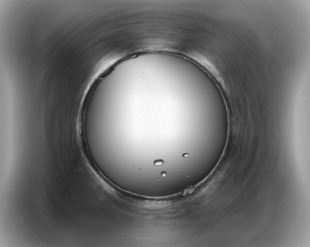 X0000086801285200704271843