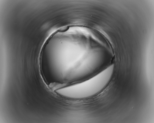 X0000086801291200704271843