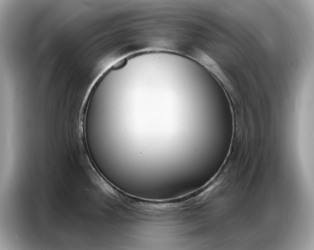 X0000086801292200704271843