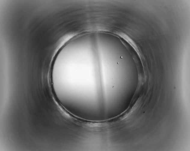 X0000086801293200704271843