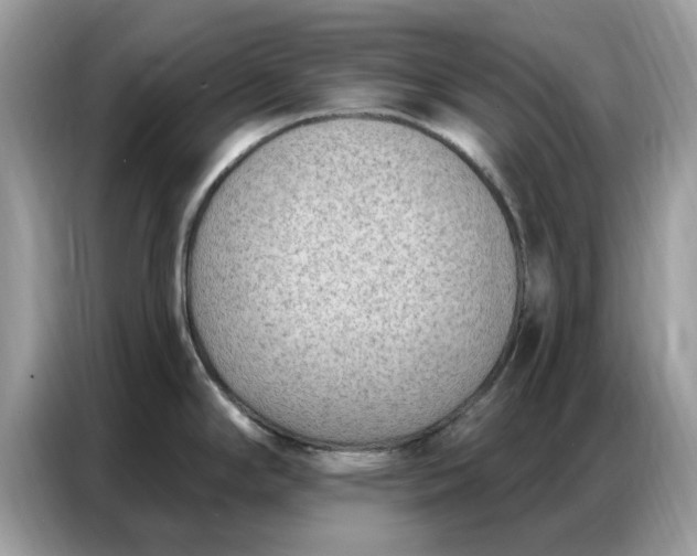 X0000086801294200704271843