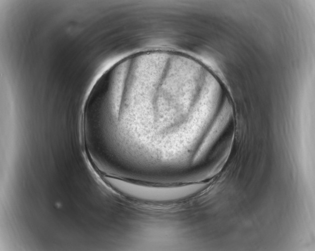 X0000086801295200704271843