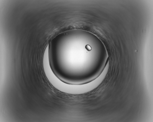 X0000086801298200704271842