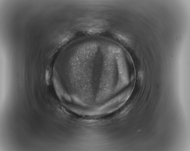 X0000086801300200704271842