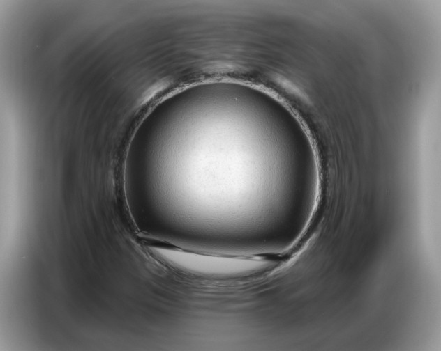 X0000086801305200704271842