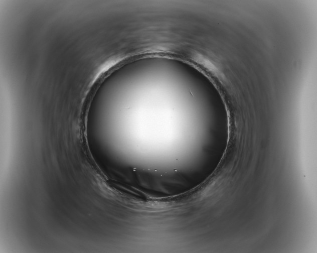 X0000086801308200704271842