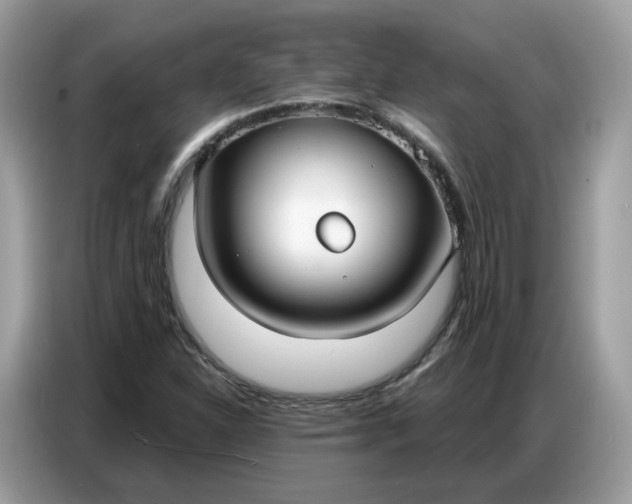 X0000086801310200704271842