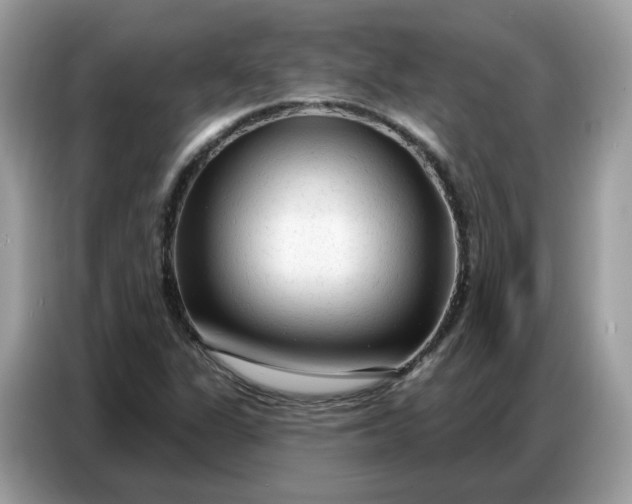 X0000086801311200704271842