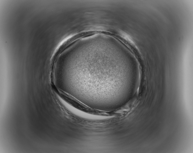 X0000086801312200704271842