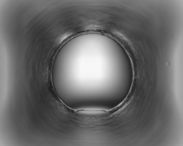 X0000086801313200704271842