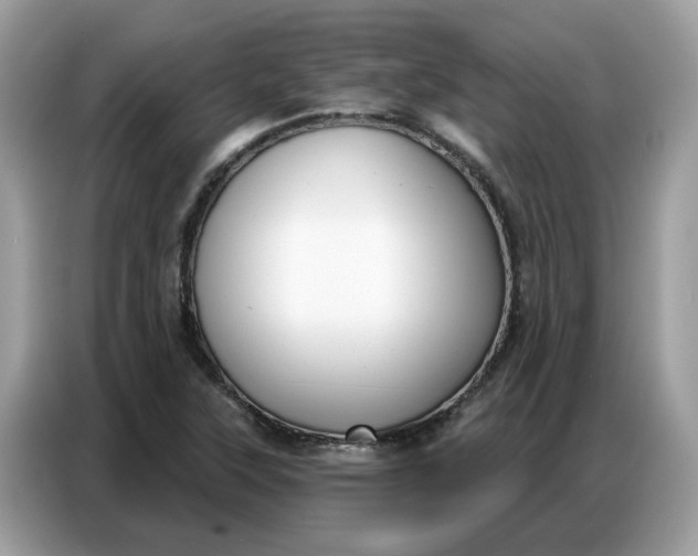 X0000086801315200704271842