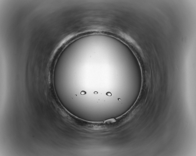 X0000086801318200704271842