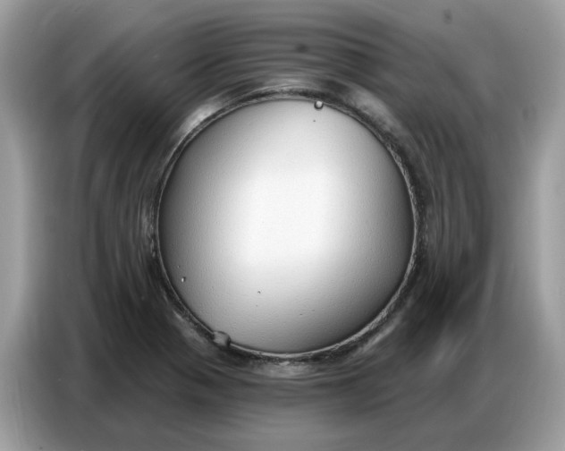 X0000086801321200704271842