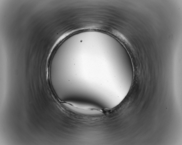 X0000086801324200704271842