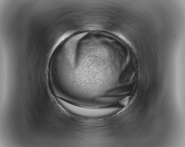 X0000086801325200704271842