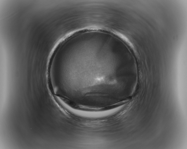 X0000086801327200704271842