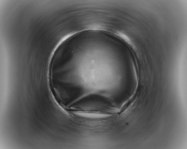 X0000086801331200704271842