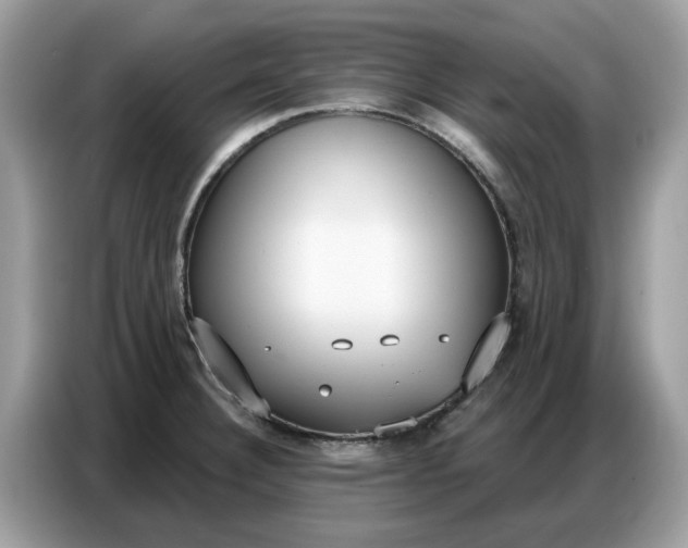 X0000086801332200704271842