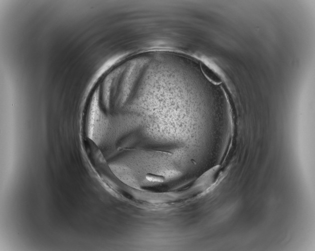 X0000086801333200704271842