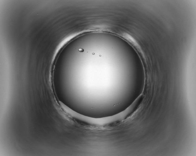 X0000086801336200704271842