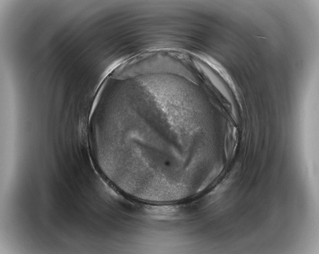 X0000086801337200704271842