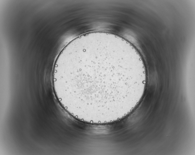 X0000086801338200704271842