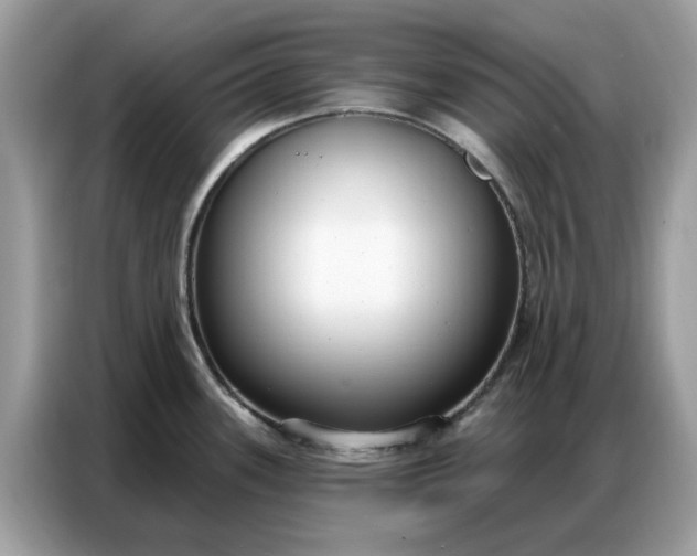 X0000086801339200704271842