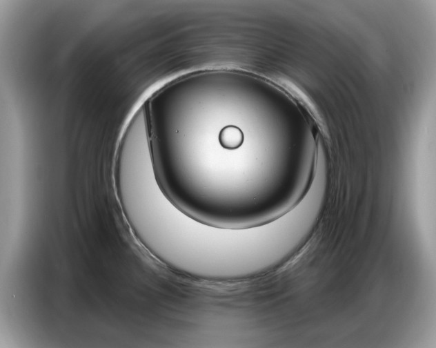 X0000086801340200704271842
