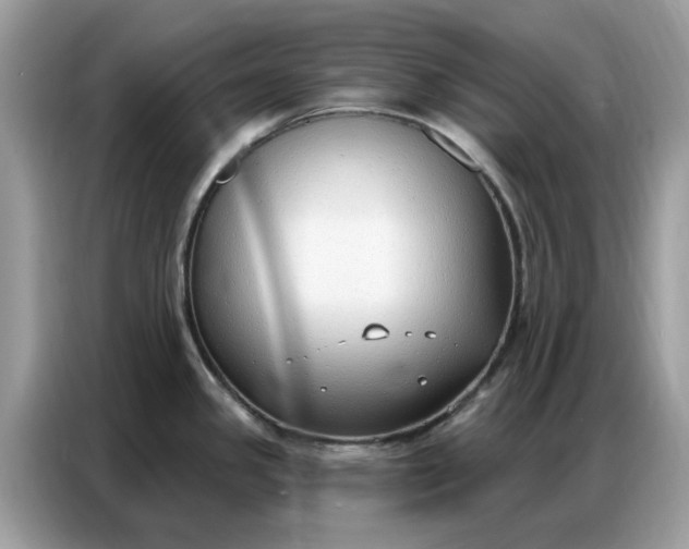 X0000086801341200704271843