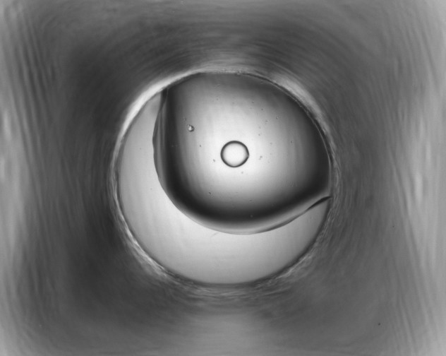 X0000086801344200704271843