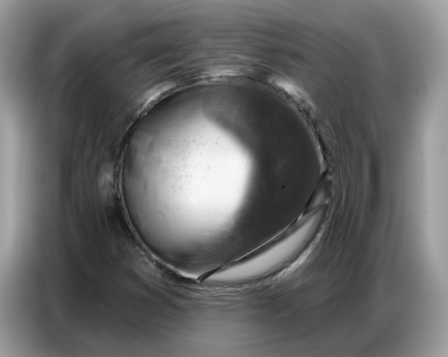 X0000086801353200704271842