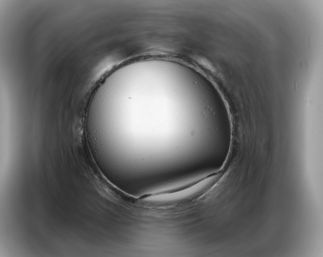 X0000086801355200704271842