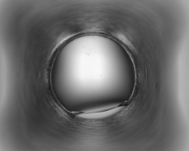 X0000086801356200704271842