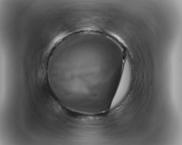 X0000086801359200704271842