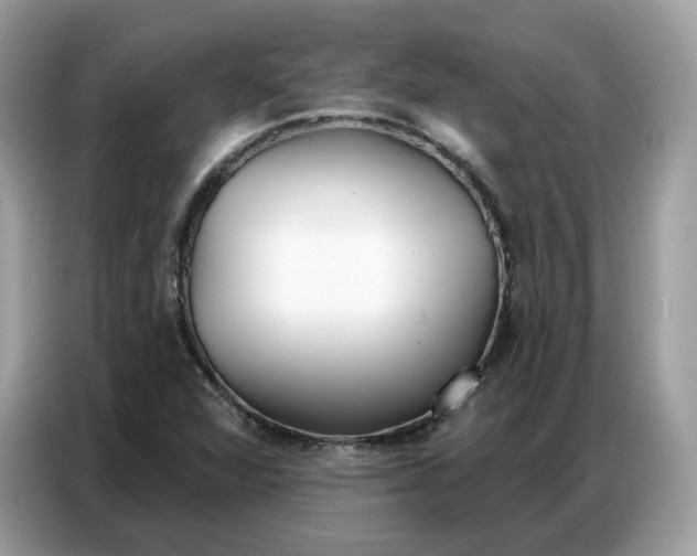 X0000086801360200704271842