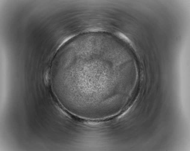 X0000086801361200704271842