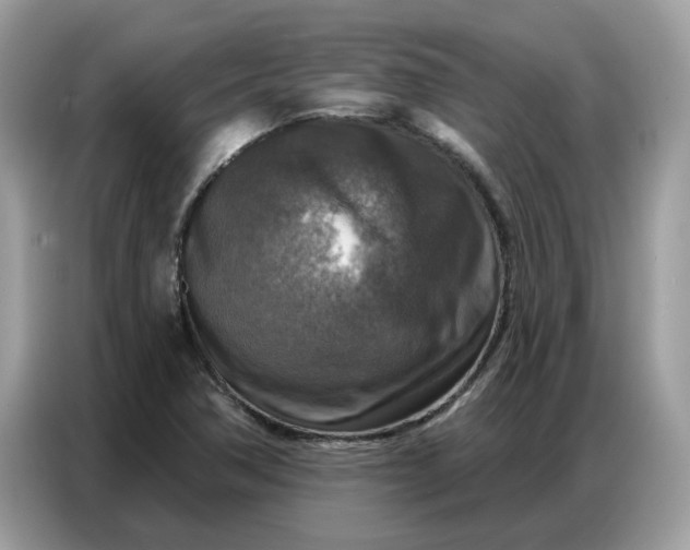 X0000086801362200704271842