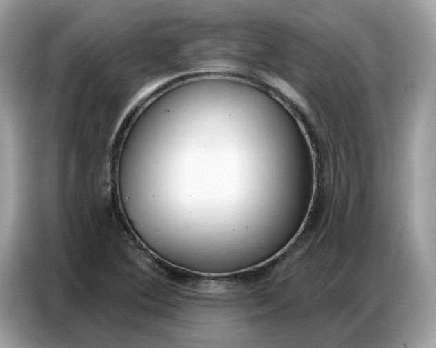 X0000086801364200704271842