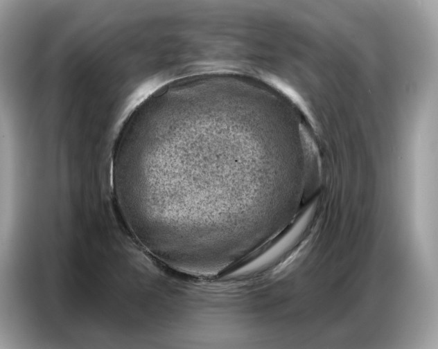 X0000086801365200704271842