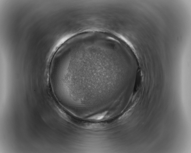 X0000086801367200704271842