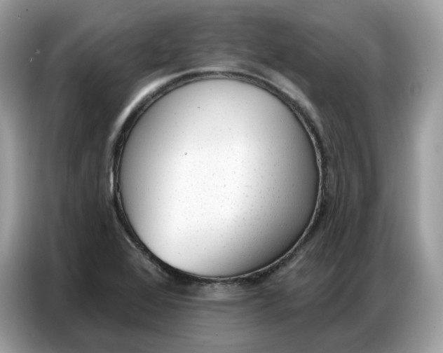 X0000086801368200704271842