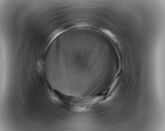 X0000086801369200704271842