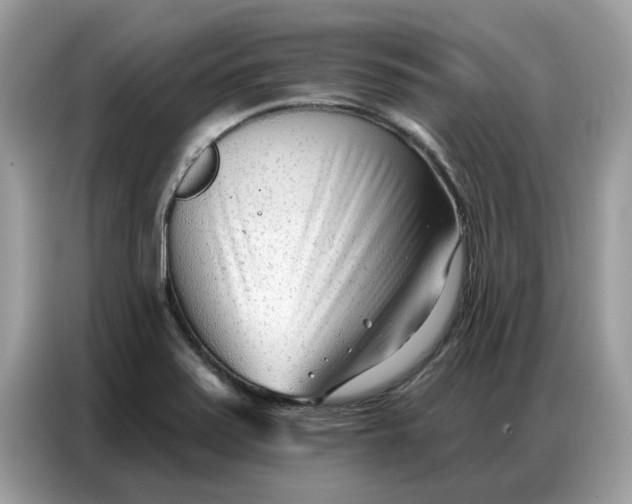 X0000086801371200704271842