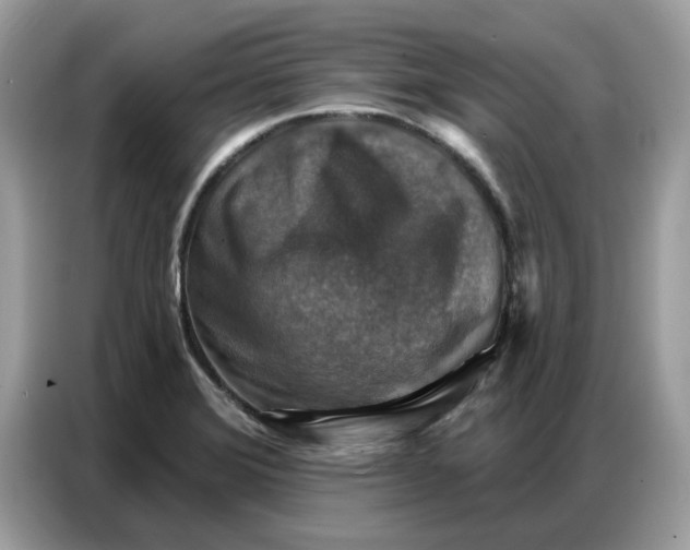 X0000086801372200704271842