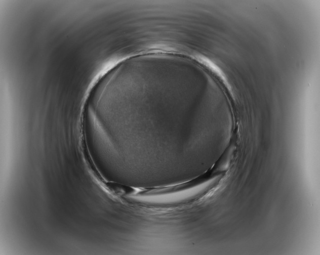 X0000086801373200704271842