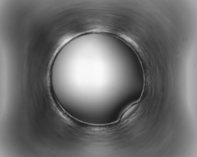 X0000086801375200704271842